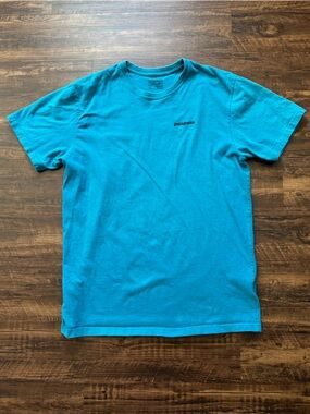 Patagonia 100% Organic Cotton regular fit blue graphic short sleeve shirt